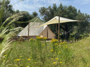 Bellissima Bell tent